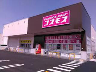 ディスカウントドラッグコスモス 野上野店のクチコミ写真1