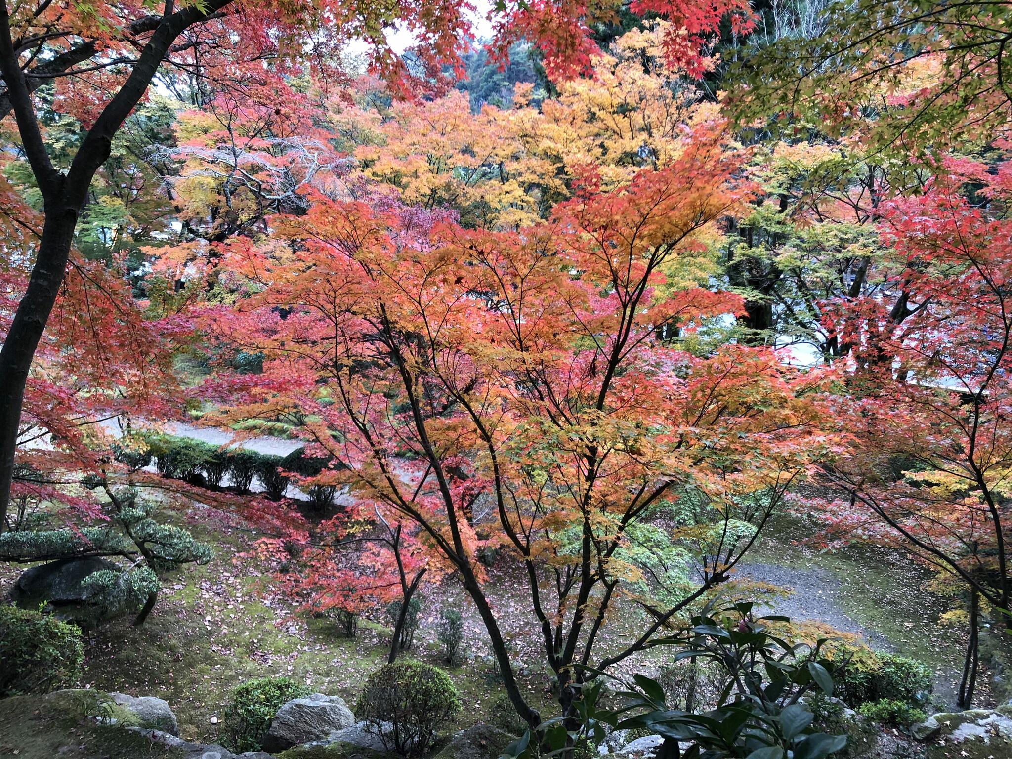 泉神社の代表写真3