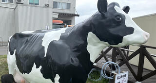 函館牛乳 あいす118のクチコミ写真1