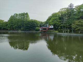 茨城県営洞峰公園のクチコミ写真3
