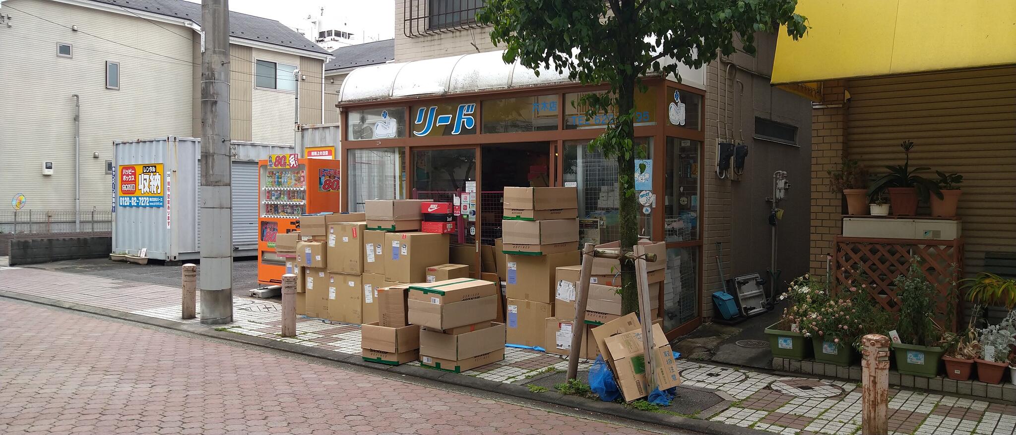 有 シューズセンター リード 六木店