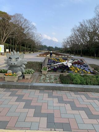 吉野公園のクチコミ写真1