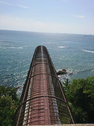 三崎公園のクチコミ写真1