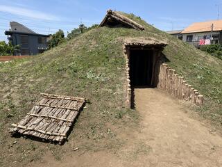 下野谷遺跡公園のクチコミ写真4