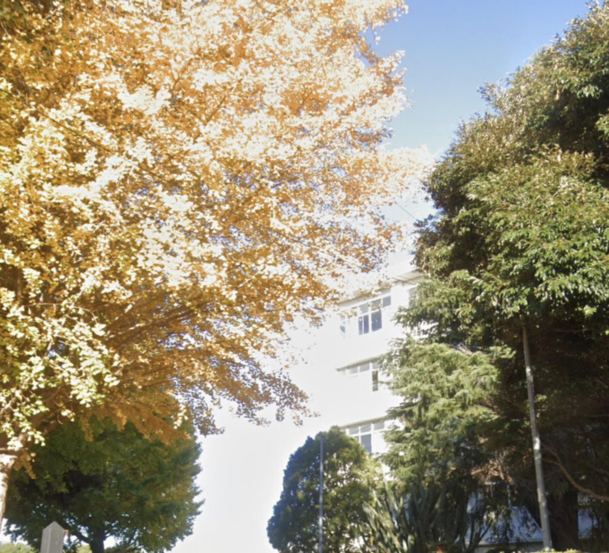 神奈川県立厚木商業高等学校の代表写真2