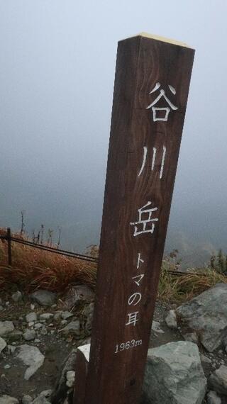 谷川岳 天神平のクチコミ写真2