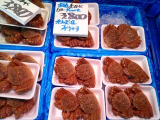 宮古市魚菜市場のクチコミ写真2