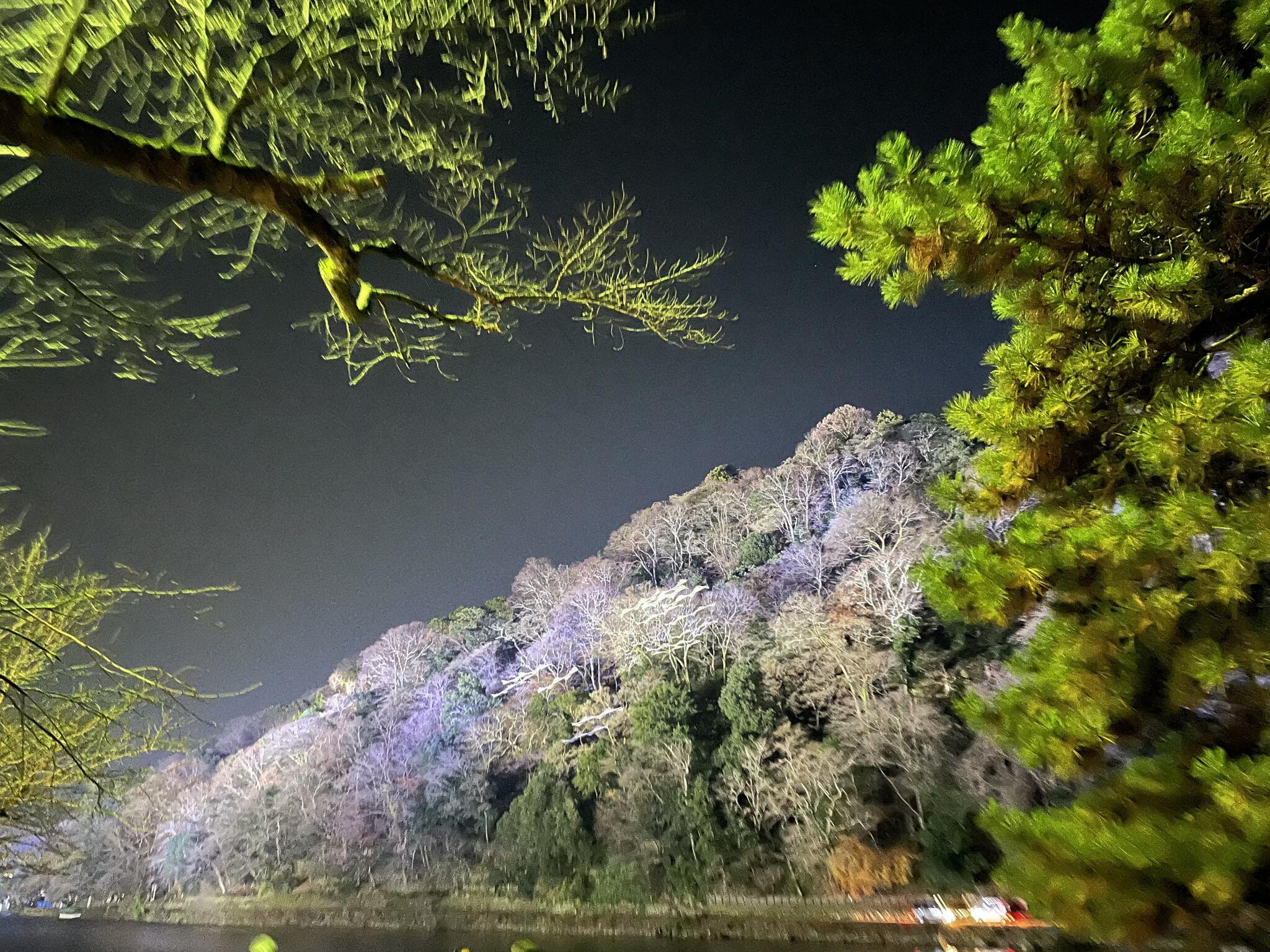 CHAVATY kyoto arashiyamaの代表写真10