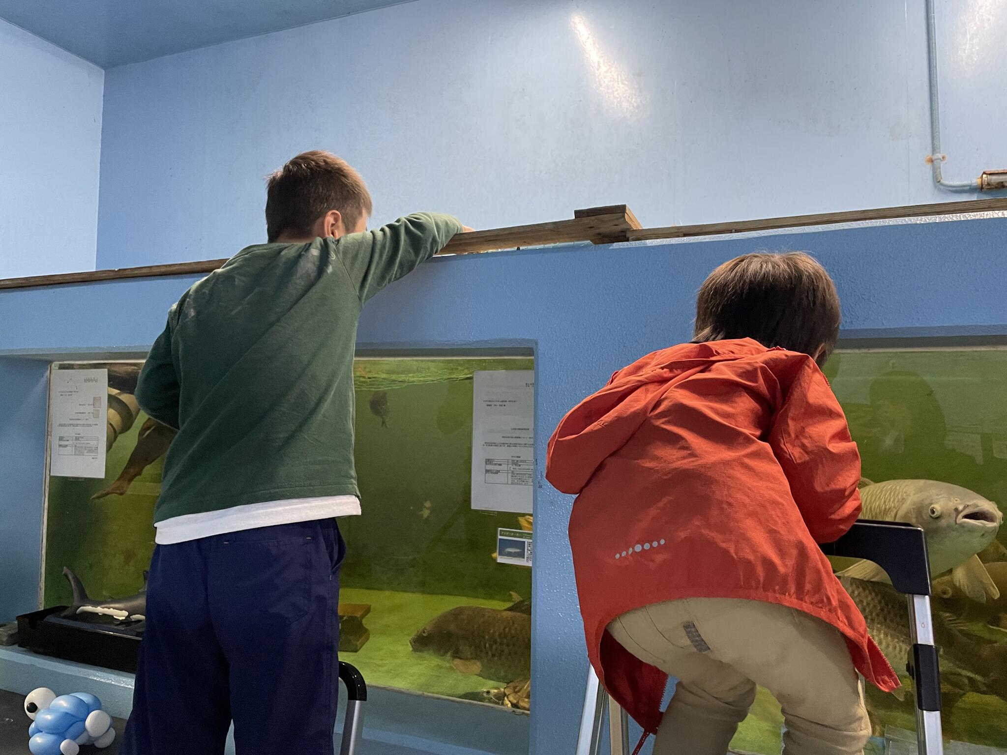 やながわ有明海水族館の代表写真6