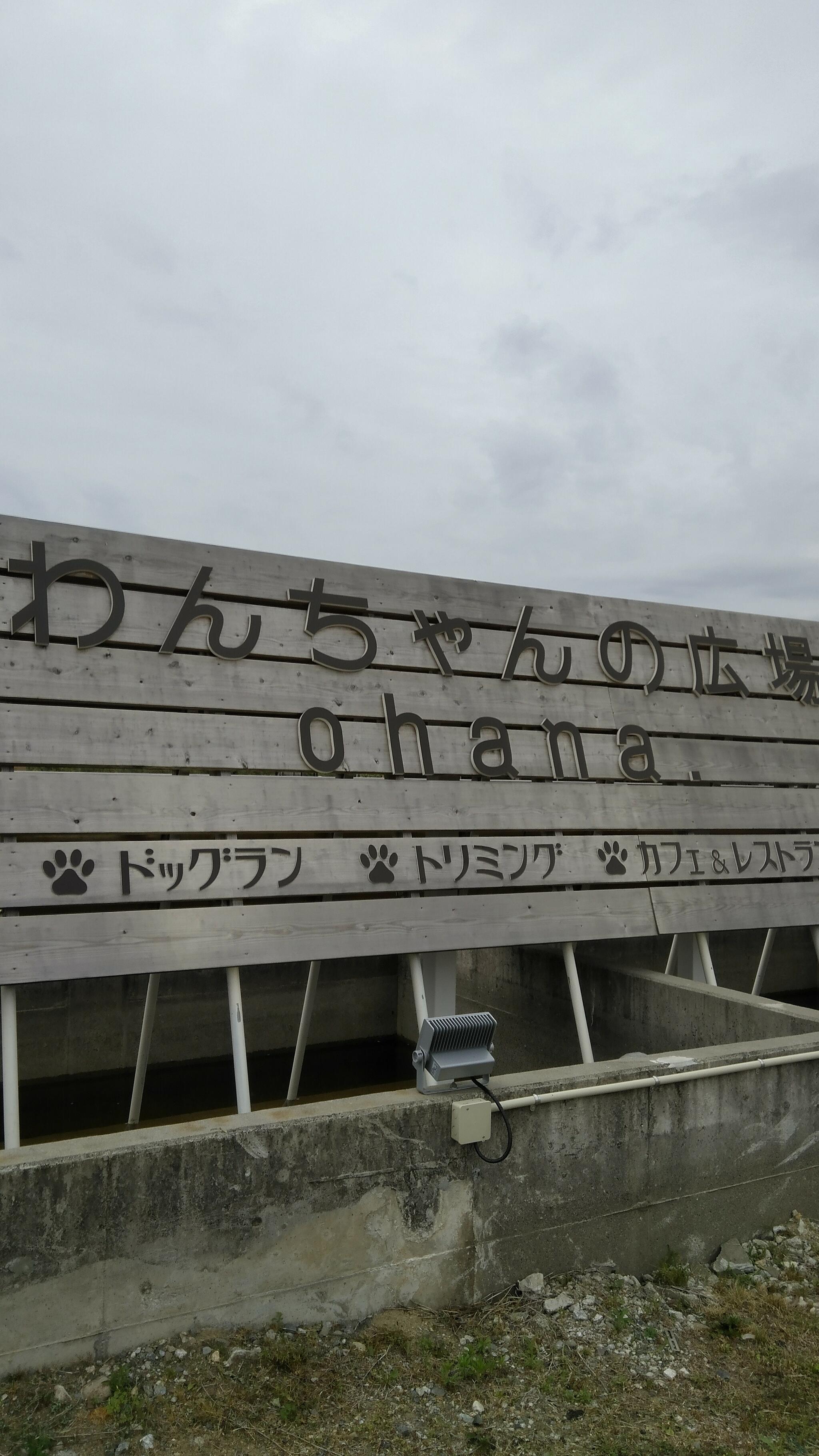 わんちゃんの広場ohana.の代表写真2
