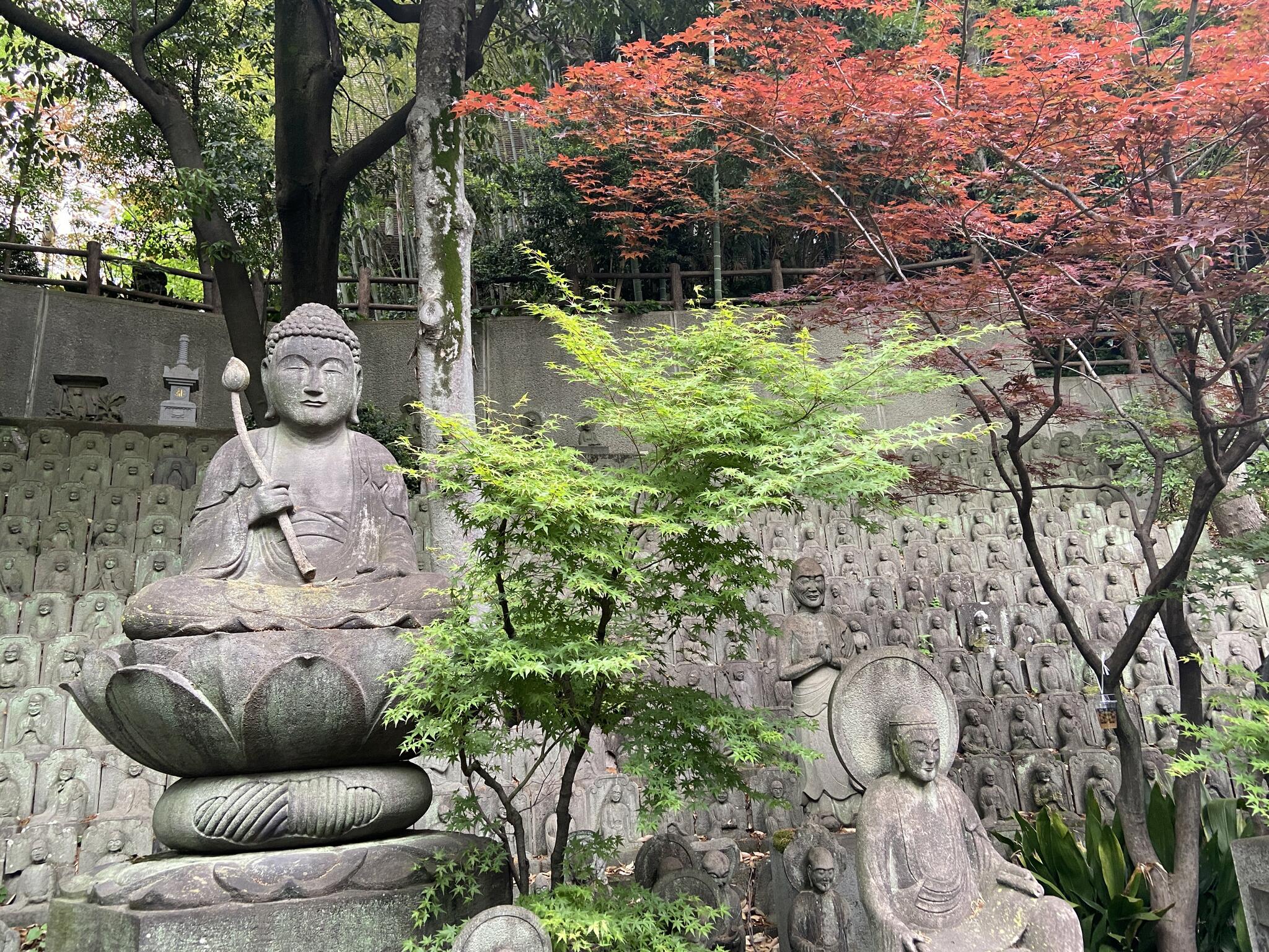大円寺の代表写真2