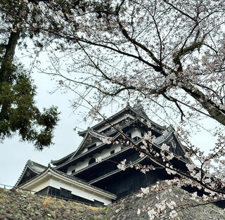 松江城山公園のクチコミ写真1