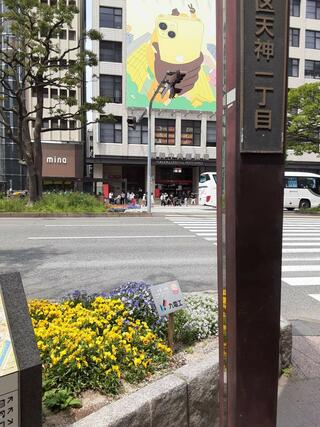福岡中央郵便局のクチコミ写真1