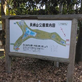 貝柄山公園の写真13