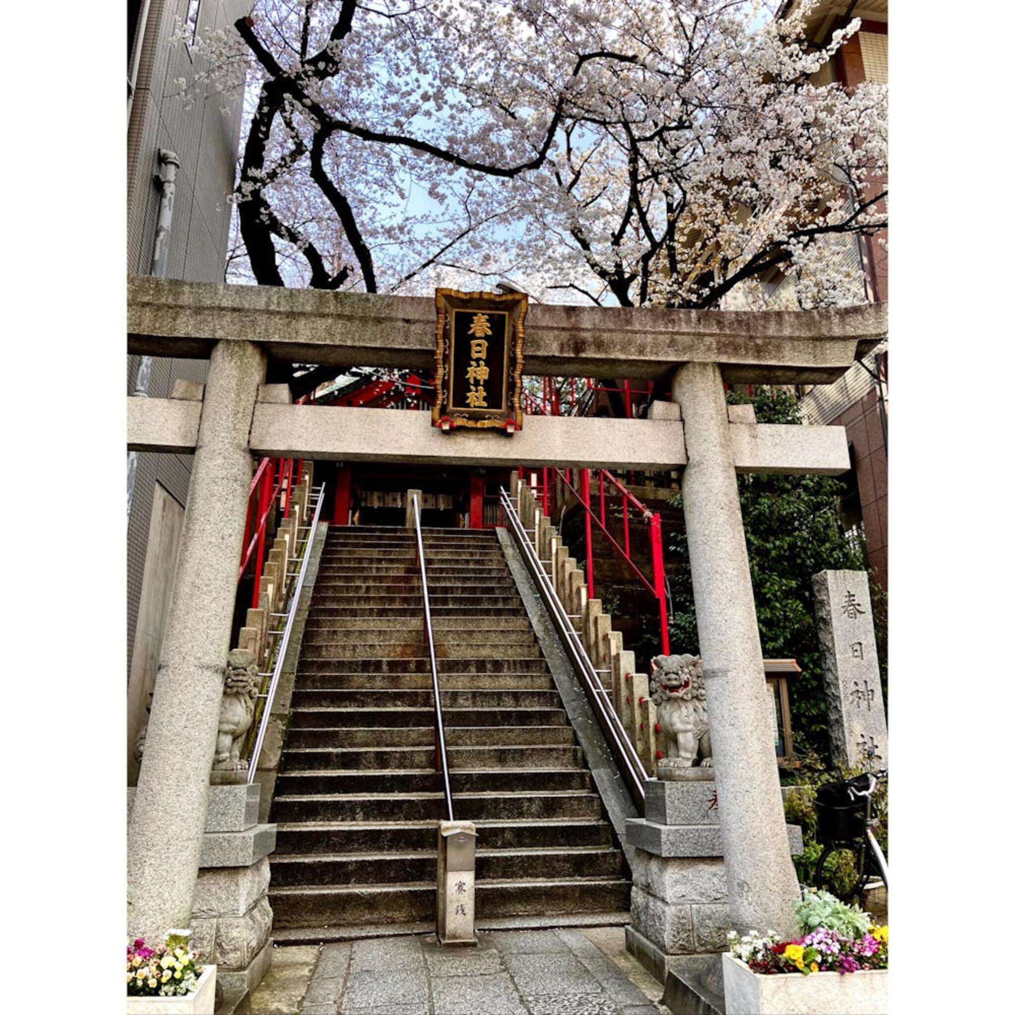 春日神社の代表写真4