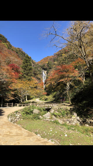 神庭の滝自然公園のクチコミ写真2