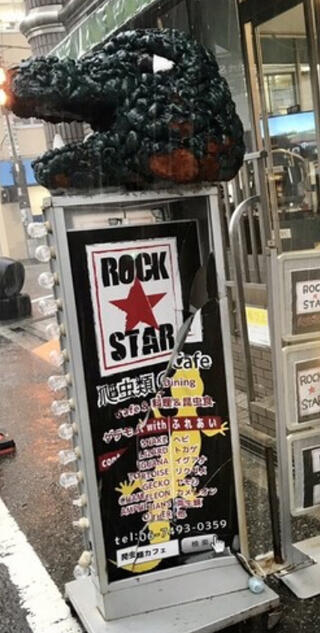爬虫類カフェ ROCK STARのクチコミ写真1