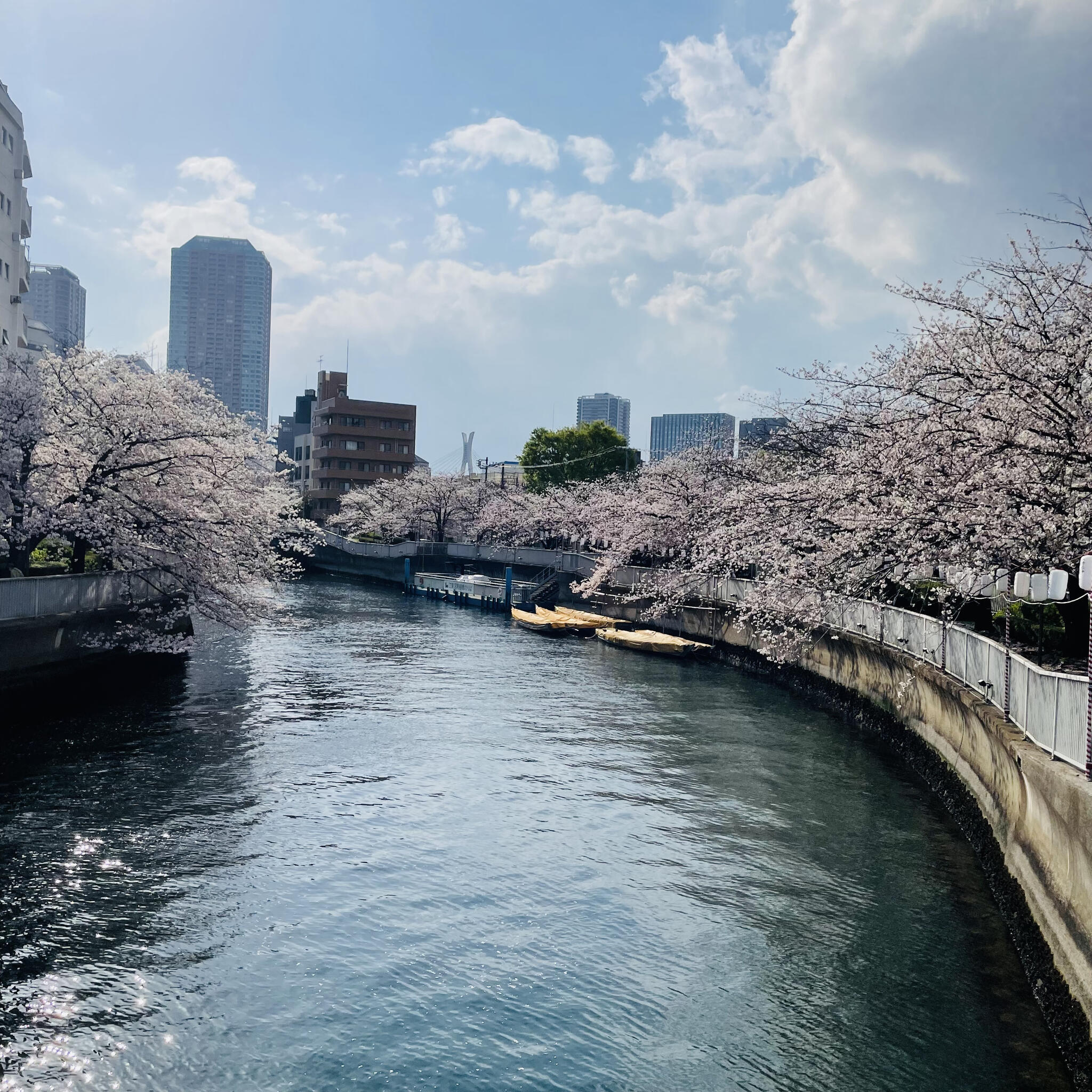 古石場川親水公園の代表写真4