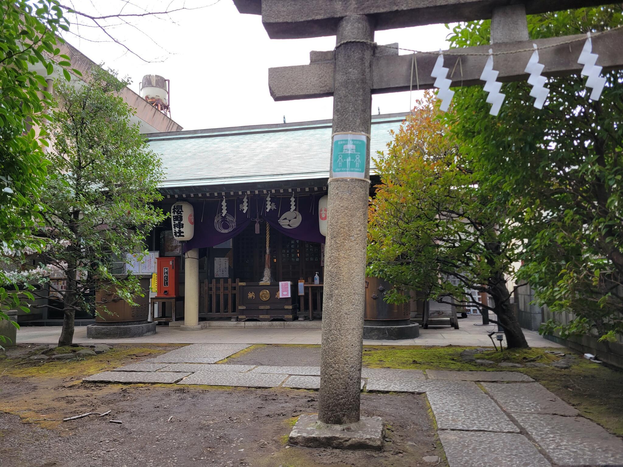 櫻田神社の代表写真9
