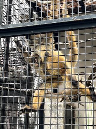 八木山動物公園フジサキの杜のクチコミ写真1