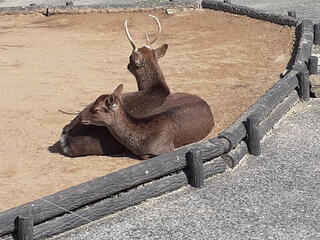 和歌山城公園動物園のクチコミ写真1