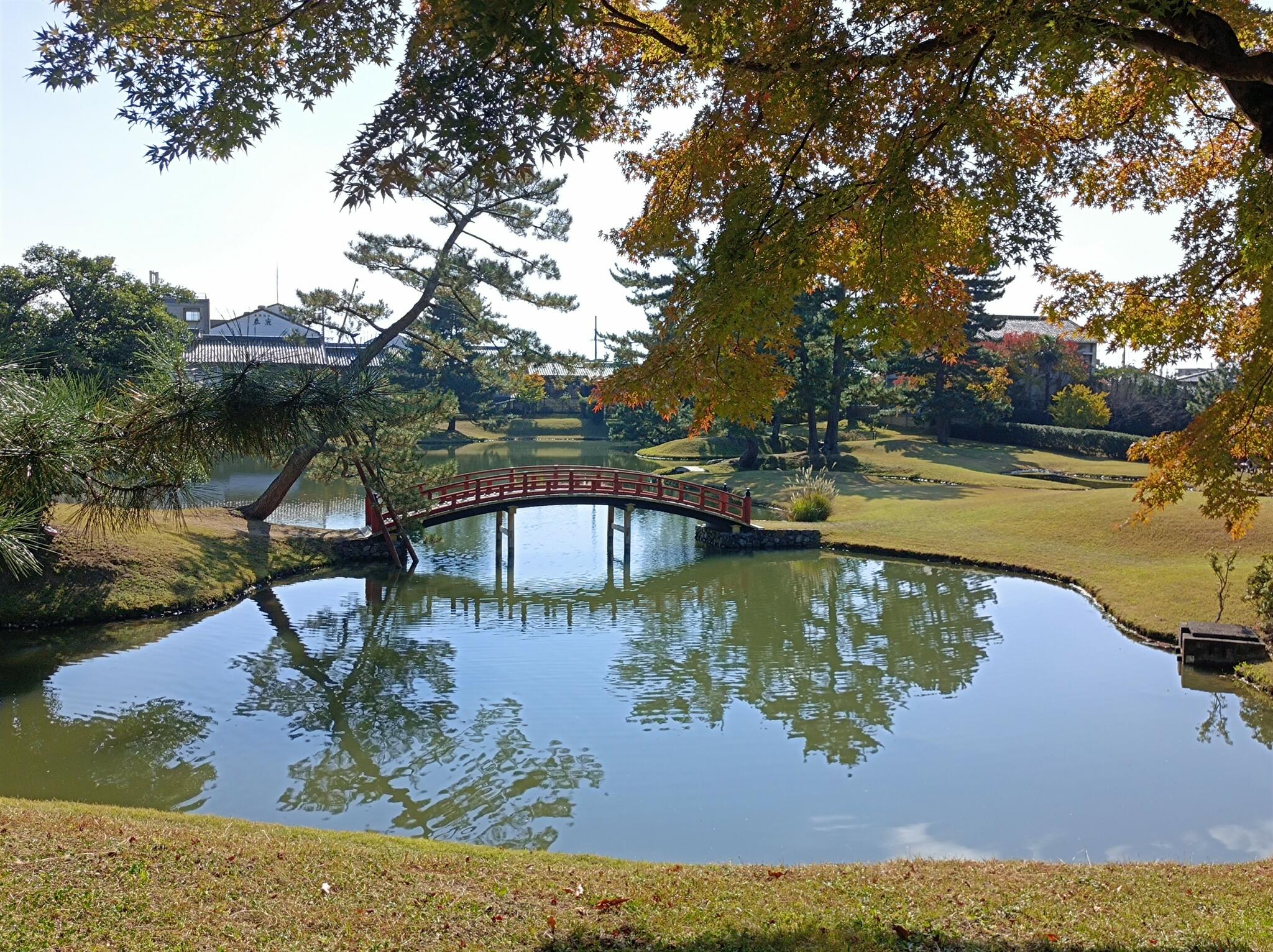 名勝大乗院庭園文化館の代表写真3