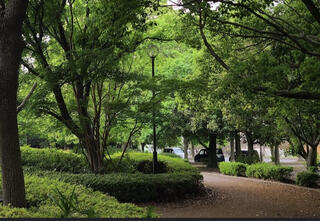 越谷総合公園のクチコミ写真1