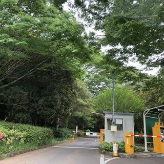 昭和の森の写真15