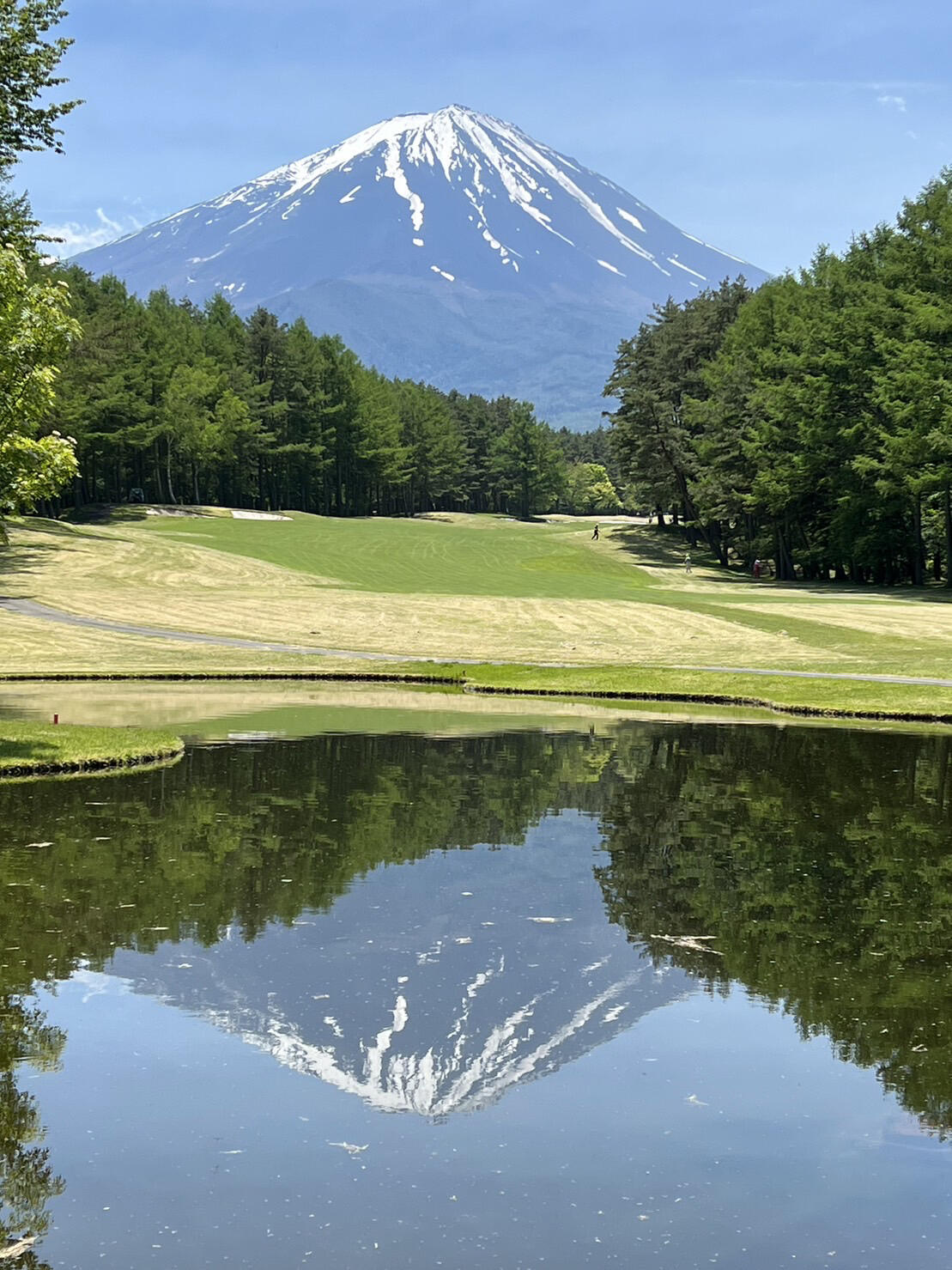 富士桜カントリー倶楽部 特別優待プレー券（1枚） - ゴルフ