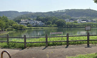 池田湖公園のクチコミ写真1
