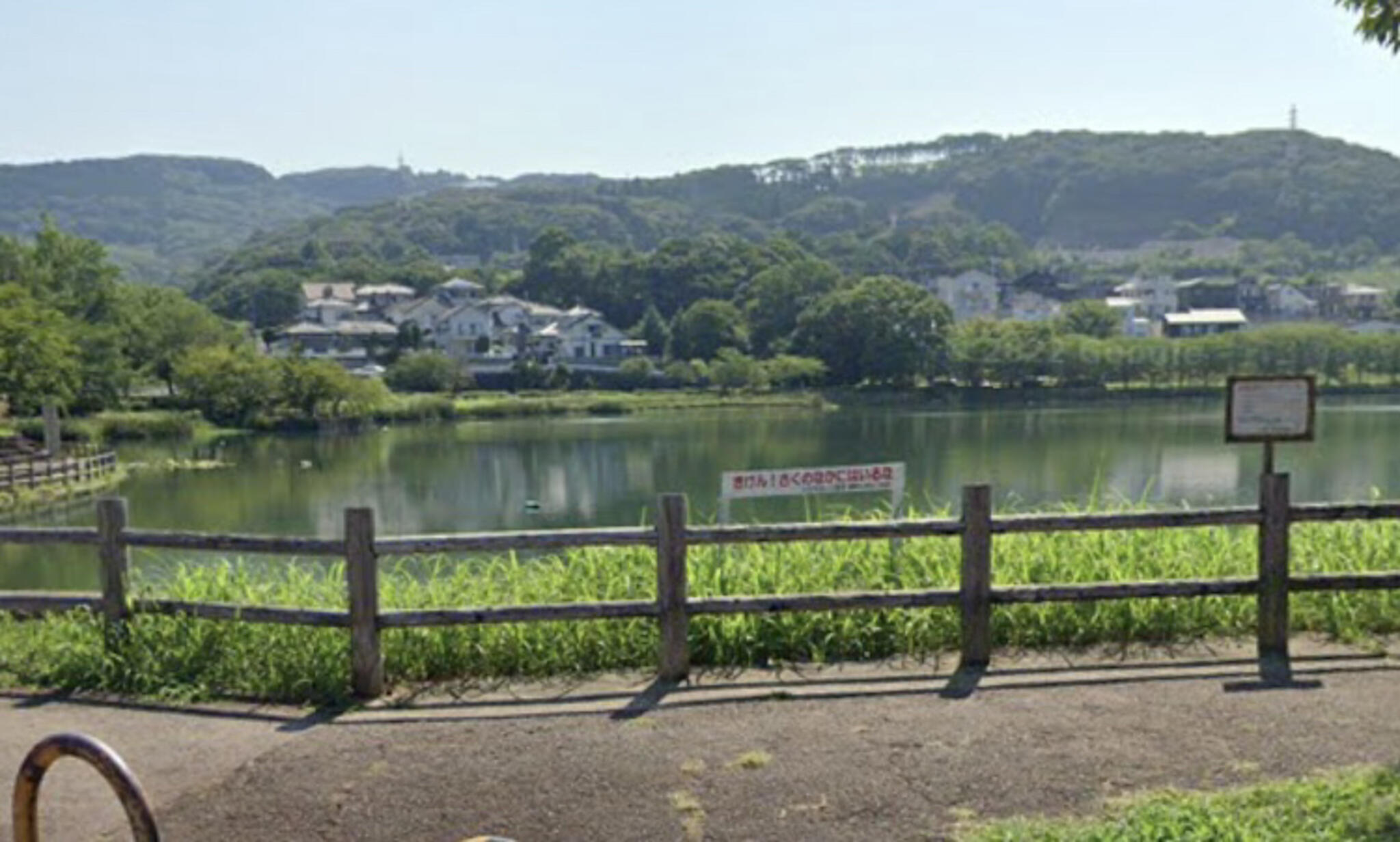 池田湖公園の代表写真2