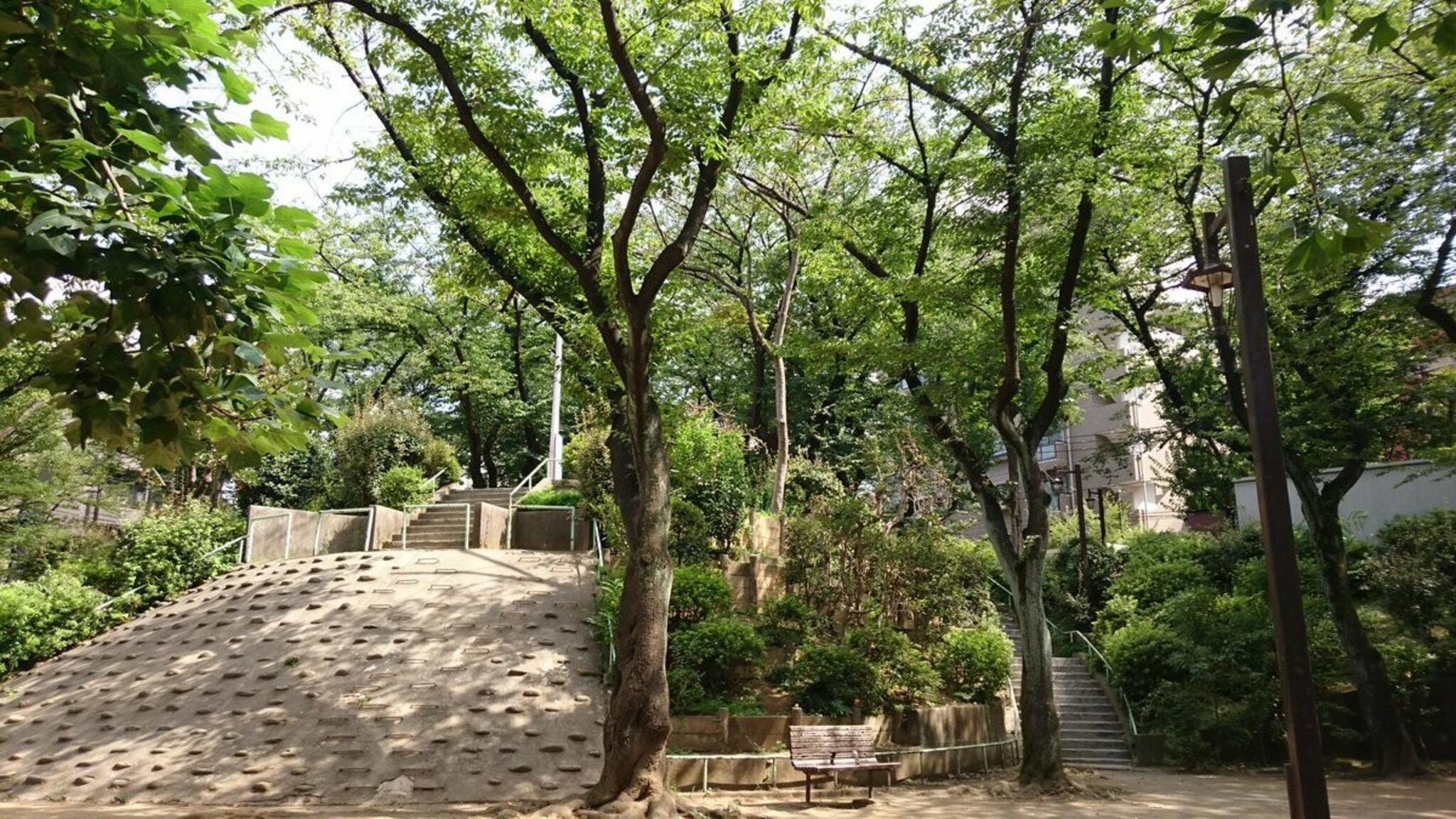 駒込東公園の代表写真10
