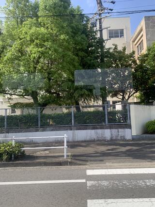 名古屋市立千鳥丘中学校のクチコミ写真3
