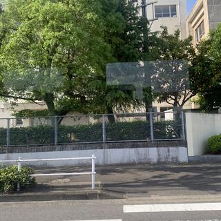 名古屋市立千鳥丘中学校の写真2