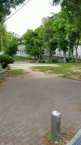 宇治川公園のクチコミ写真1