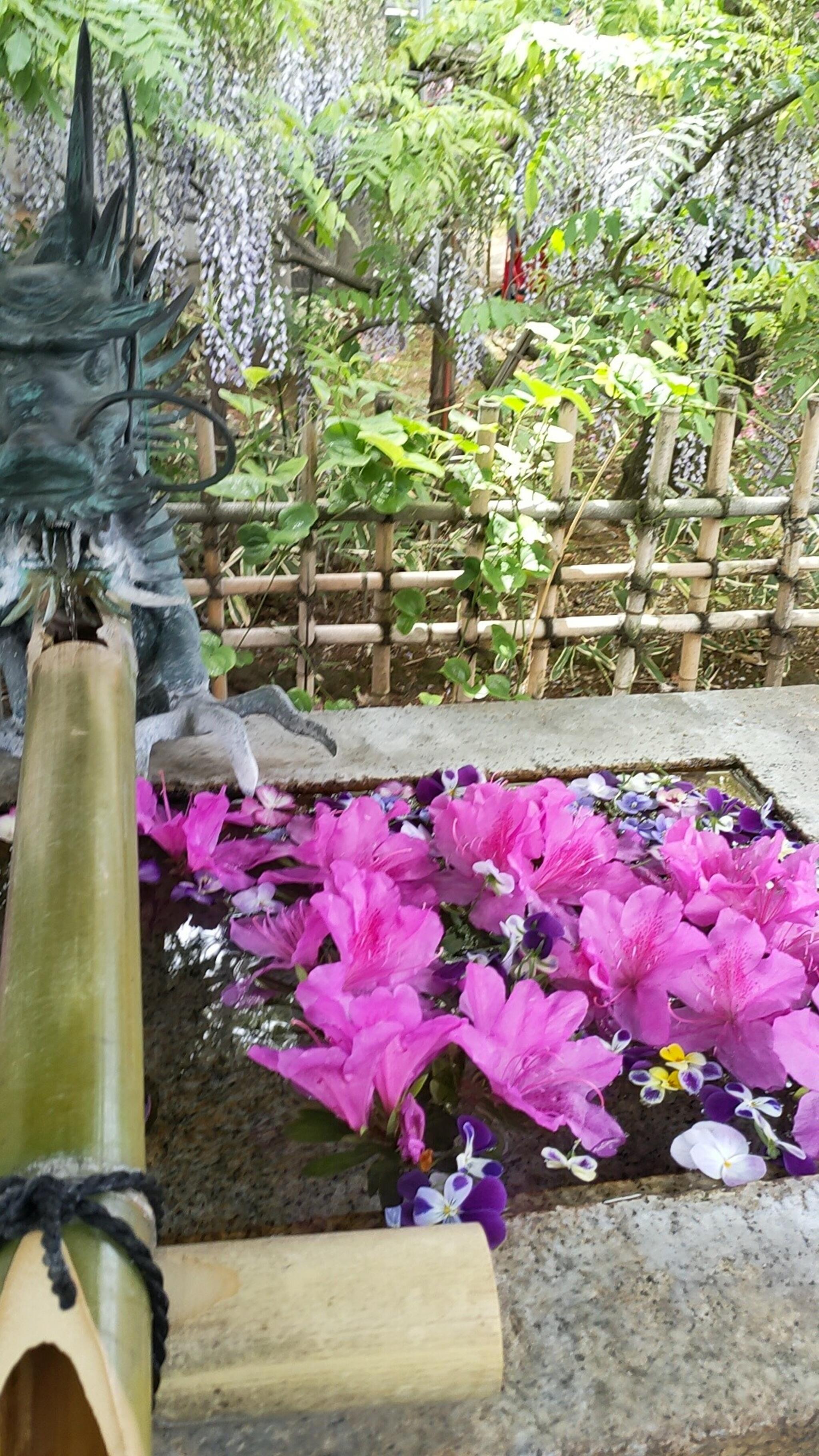 産千代稲荷神社の代表写真4