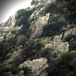 大石林山のクチコミ写真1