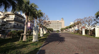 沖縄市役所のクチコミ写真1