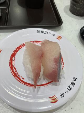 かっぱ寿司 東舞鶴店のクチコミ写真1