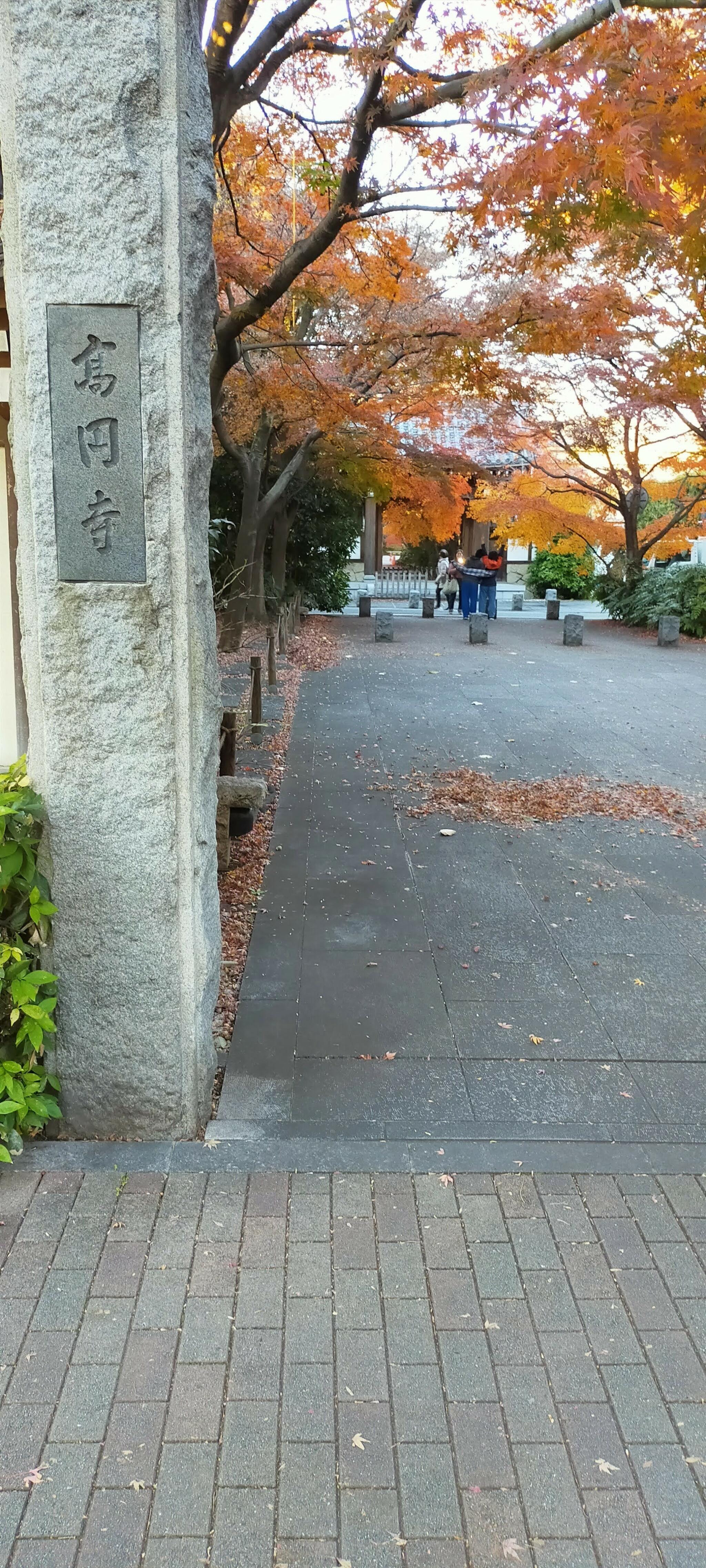 高円寺の代表写真10