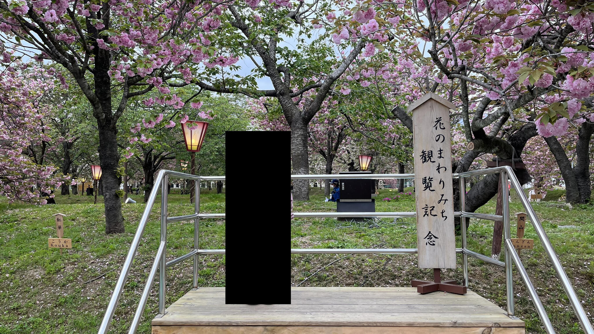 花のまわりみち-八重桜イン広島-の代表写真6