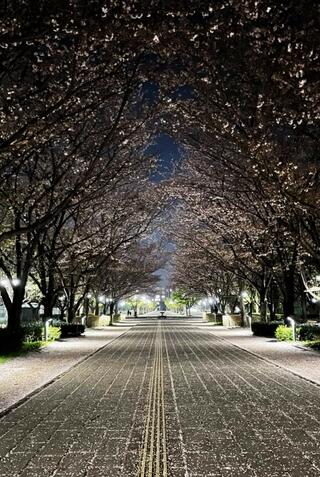 千葉県立柏の葉公園のクチコミ写真1