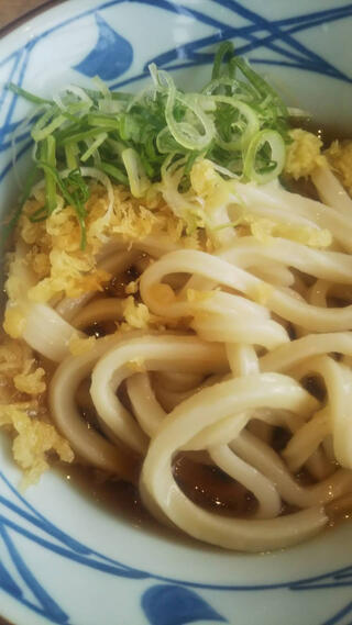 丸亀製麺 越前のクチコミ写真1