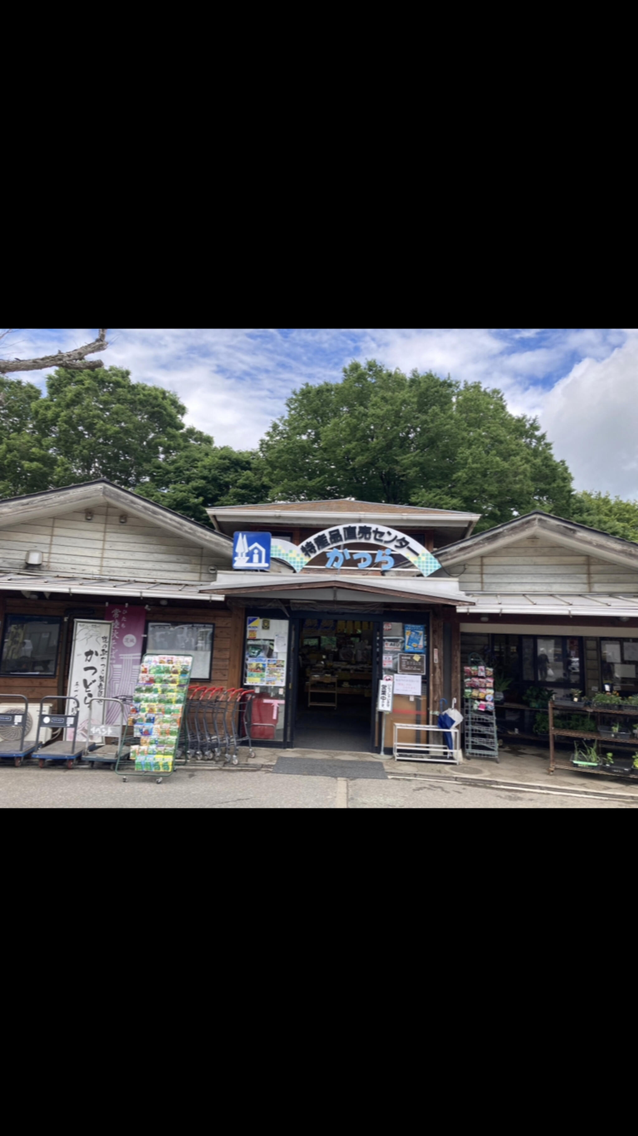 道の駅 かつらの代表写真1