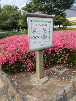 水元スポーツセンター公園のクチコミ写真1