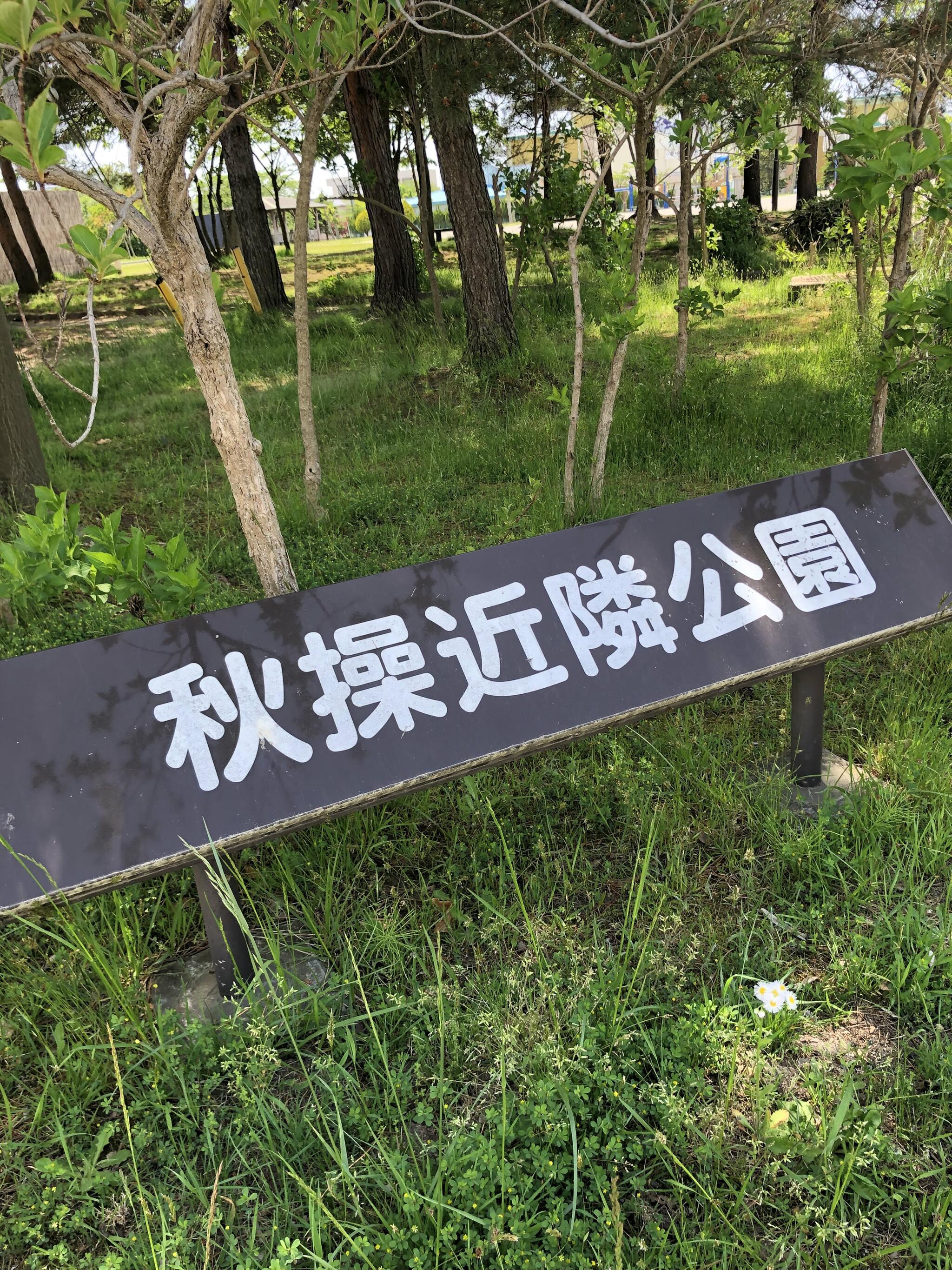 秋操近隣公園の代表写真2