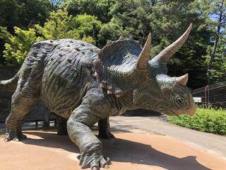 岡崎市東公園動物園のクチコミ写真3