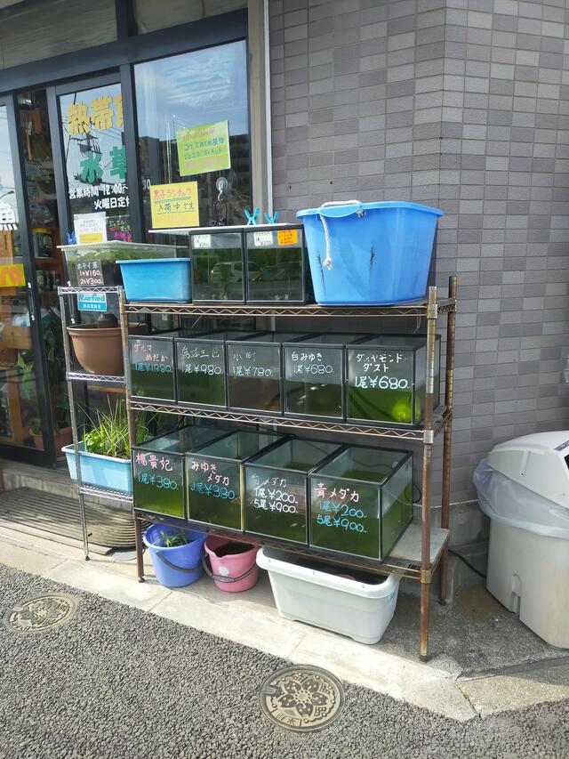 東京 ショップ ペット 貿易