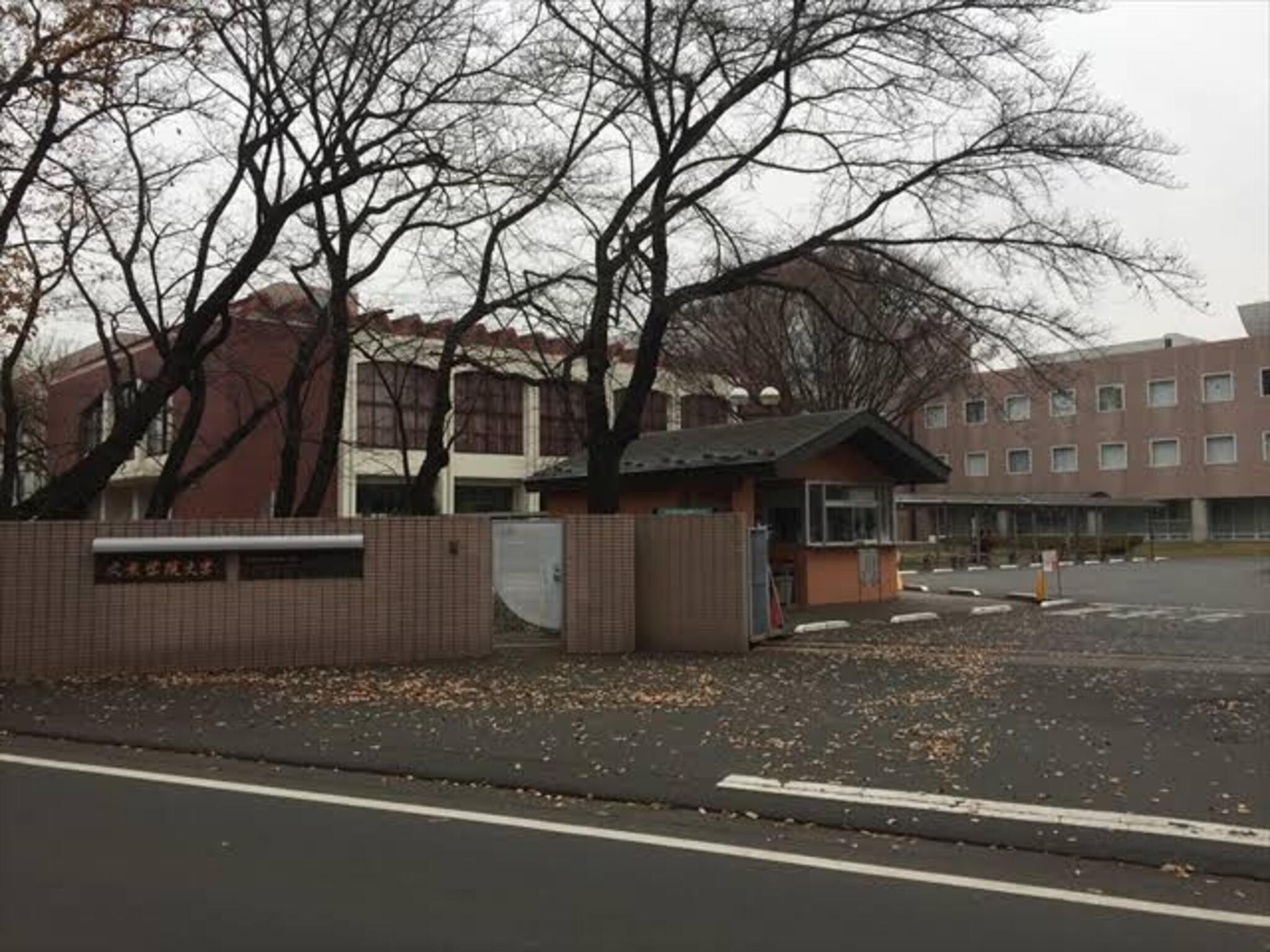 文京 学院 大学 ストア ふじみ野 バス