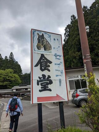 ハイセイコー食堂のクチコミ写真1